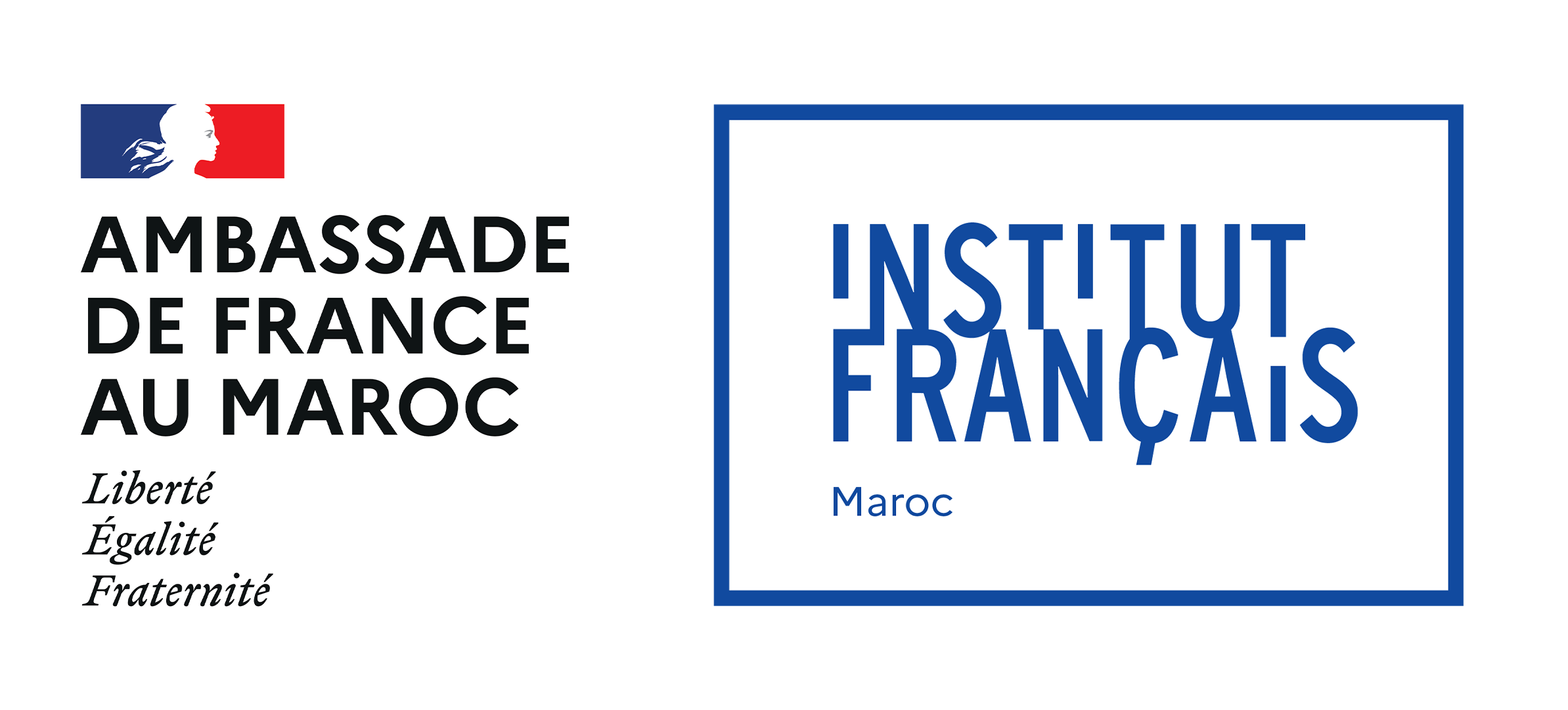 LOGO_Institut Français+AMBASSADE